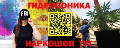 бошки Боровичи