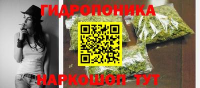 гидра Аргун