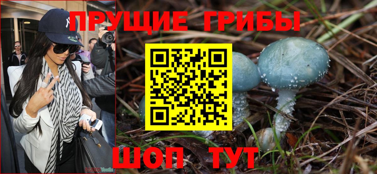 Псилоцибиновые грибы прущие грибы Канск