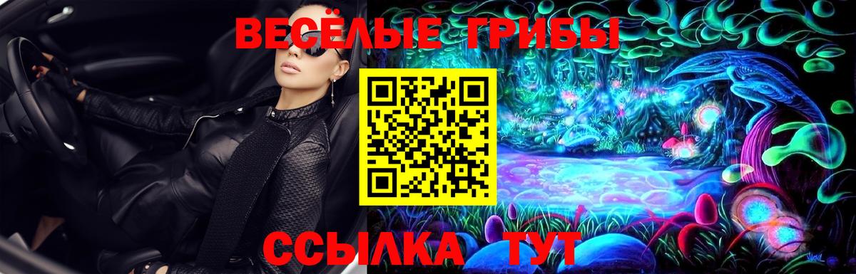 Галлюциногенные грибы мухоморы  Вход с VPN  Канск 
